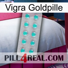 Vigra Gold Pill 28